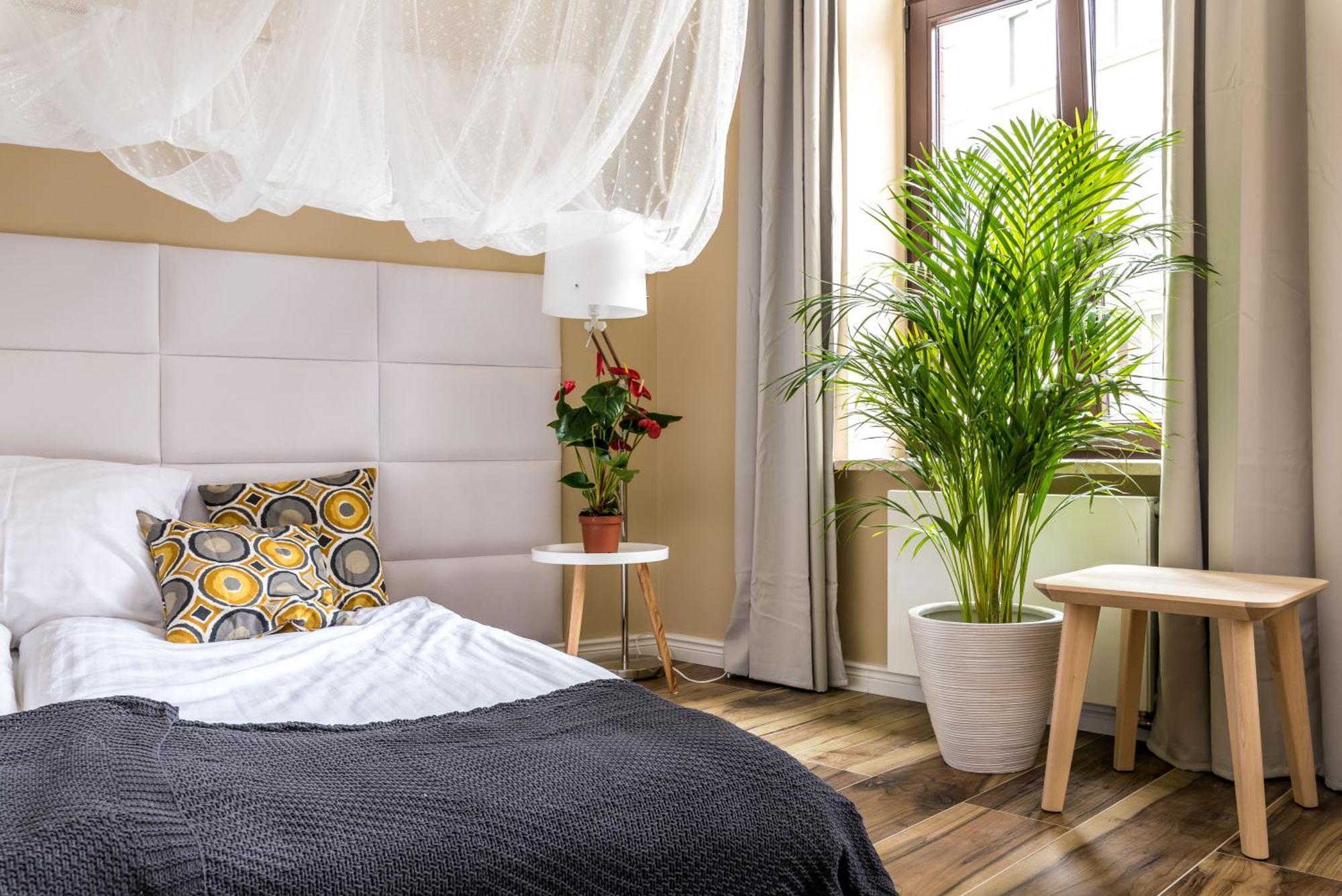 Cichy Zakatek Przy Starym Rynku Apartment *
